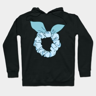 cute hair scrunchie Hoodie